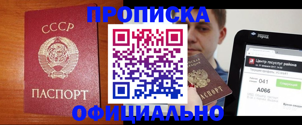 временная регистрация гарантия в Опочке